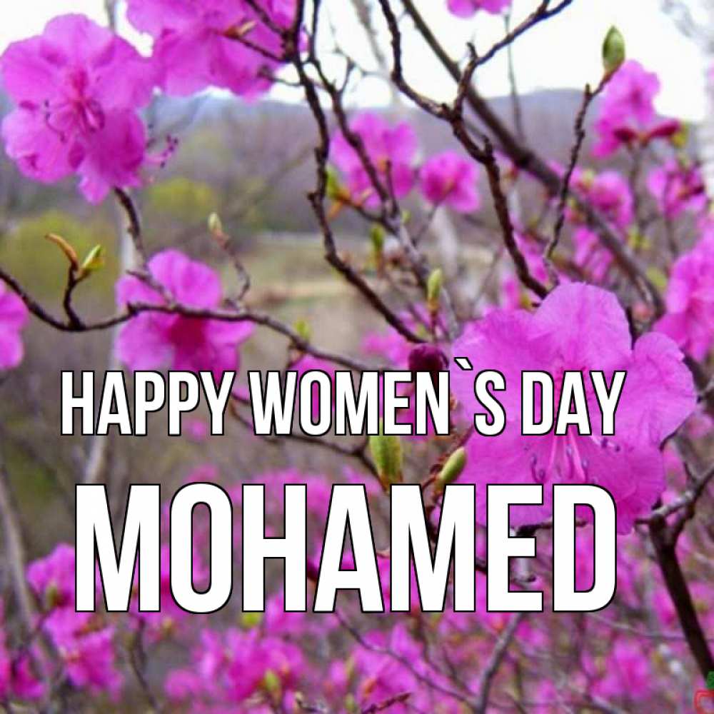 Greetings card с именем, Mohamed happy women`s day международный женский день Greetings with text for free download 
